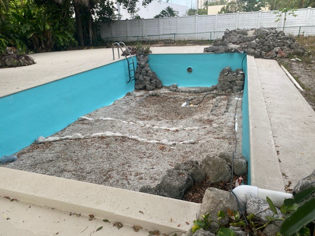 pool 2 - June 2025 pool photos